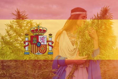 Cannabis in Spain for Tourists: What You Need to Know