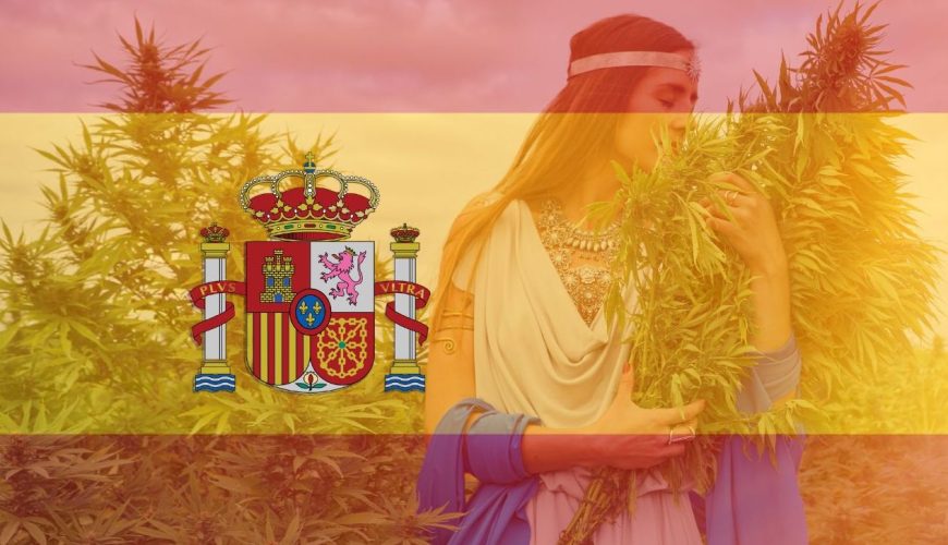 Cannabis in Spain for Tourists: What You Need to Know