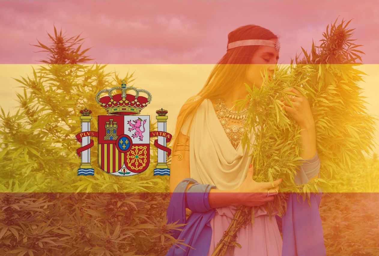 Cannabis in Spain for Tourists: What You Need to Know